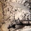 2c-b hcl powder