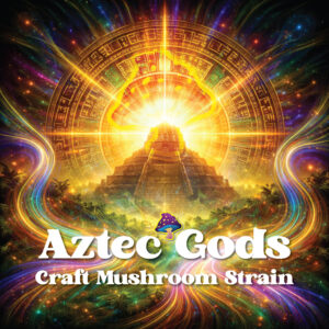 aztec god mushroom