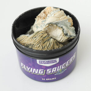 Flying Saucer
