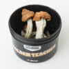 golden teacher