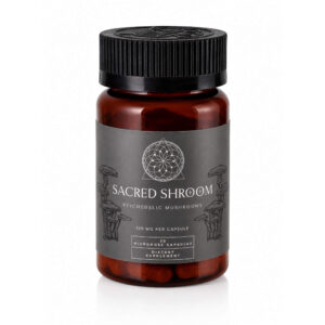 mushroom microdose capsules